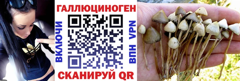 Галлюциногенные грибы Magic Shrooms маркетплейс Telegram Оханск